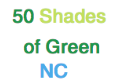 50 Shades of Green NC Artificial turf, custom putting greens, landscaping